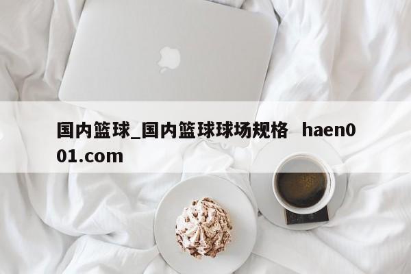 国内篮球_国内篮球球场规格  haen001.com